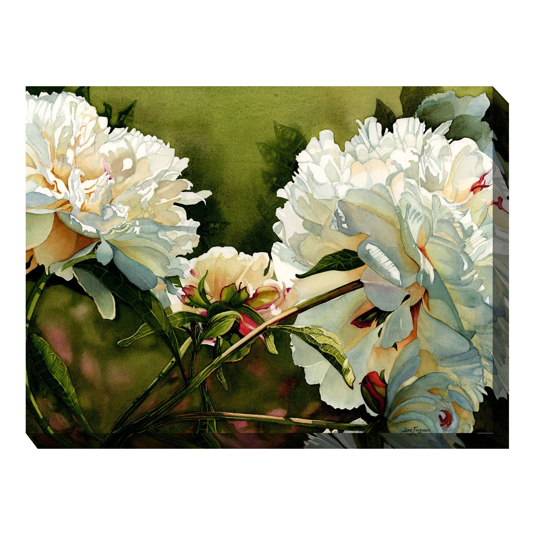 All Weather All Season Outdoor Canvas Art Intimates For All