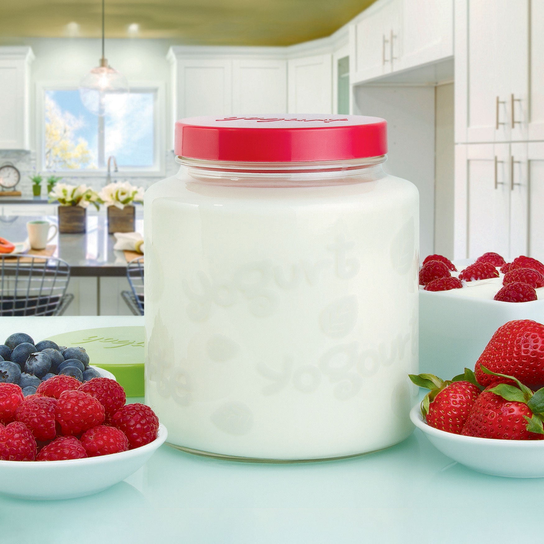64 Oz Glass Jar with lid for Euro Cuisine YM260 - YM360 - YM460 Yogurt ...