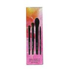 Travel Brush Set (4x Brush): Powder Brush + Eye Sh, Travel Brush Set, hi-res image number null