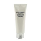 Reine Blanche Illuminating Scrub, Reine Blanche, hi-res image number null