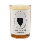 Candle - Holy Ficus, Holy Ficus, hi-res image number null
