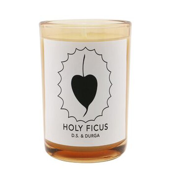 Candle - Holy Ficus, Holy Ficus, hi-res image number null