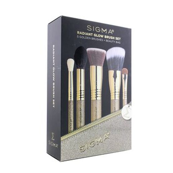 Radiant Glow Brush Set (5x Golden Brush, 1x Bag), , alternate image number null