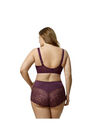 Stretch Lace Softcup Bra , , alternate image number 3