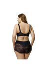 Stretch Lace Softcup Bra , , on-hover image number null