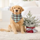 Pet Scarf image number 3