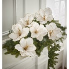 Amaryllis Clips, Set of 6 image number null