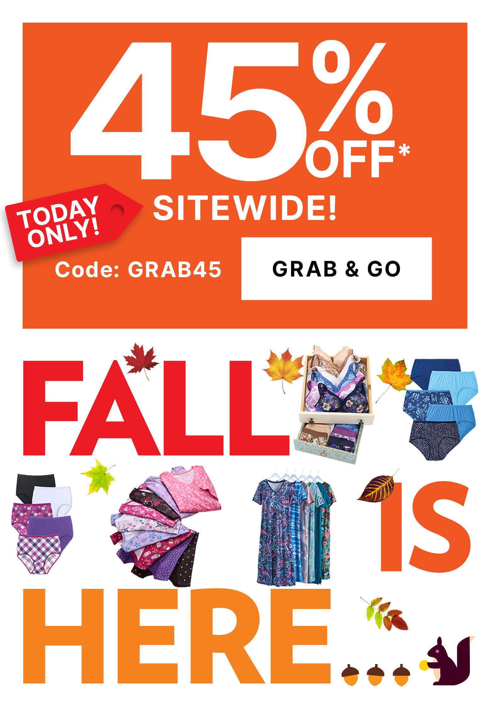 GRAB YOUR SAVINGS! 45% OFF